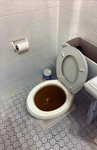 https://blockeddrainskoondoola.com.au/uploads/2025/07/blocked-toilet-99184.jpg